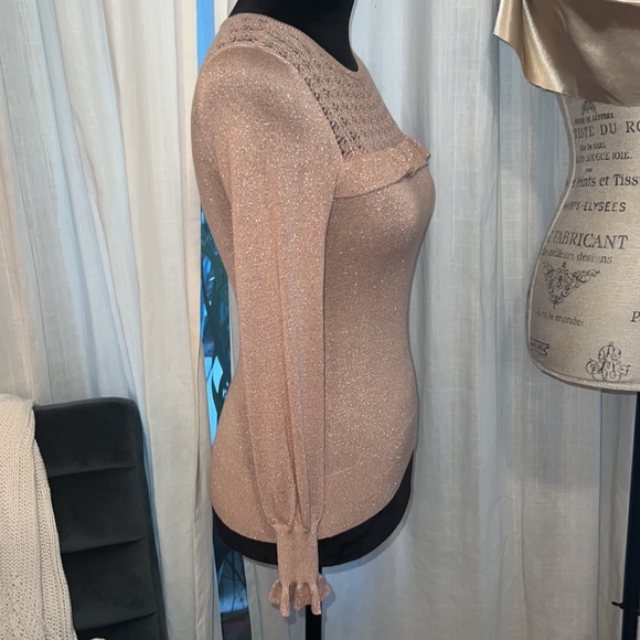WHBM rose light pink metallic gold silver shimmer longsleeve sweater blouse XXSP - Picture 6 of 15